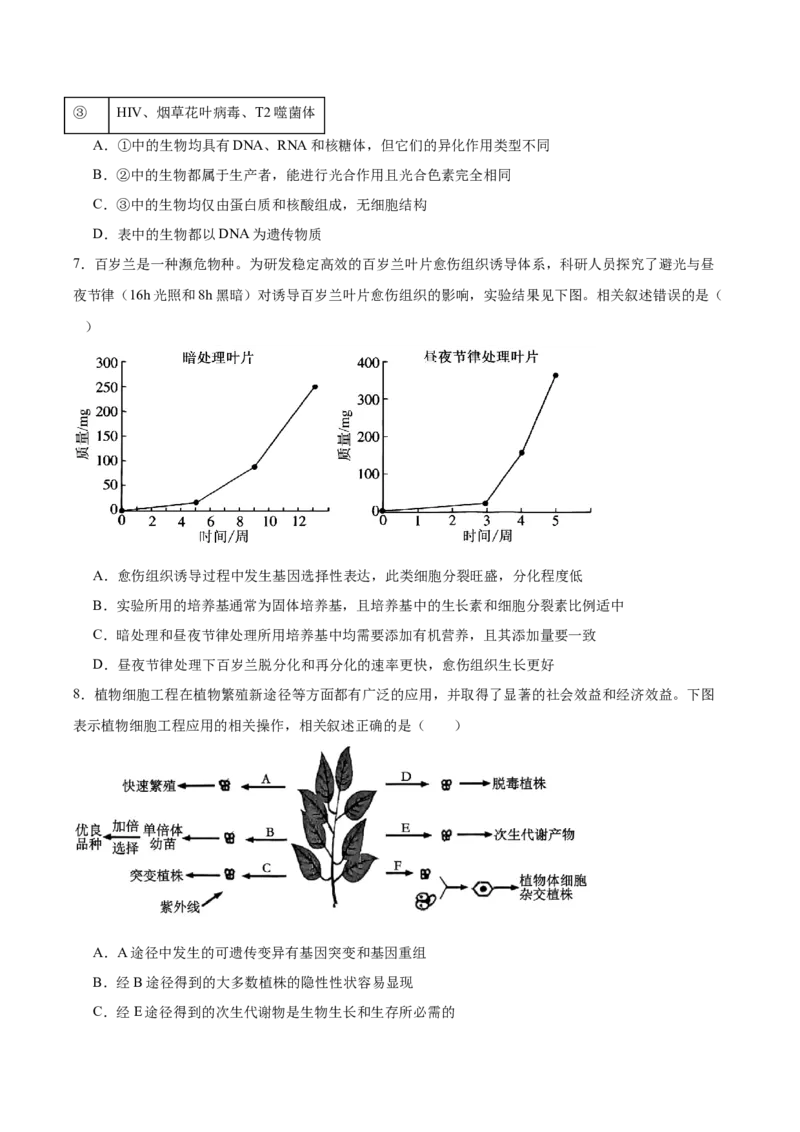 福建省厦门双十中学2024-2025学年高二下学期4月期中考试生物Word版含答案_2024-2025高二（7-7月题库）_2025年6月试卷_0603福建省厦门双十中学2024-2025学年高二下学期4月期中考试