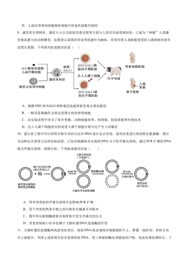 福建省厦门双十中学2024-2025学年高二下学期4月期中考试生物Word版含答案_2024-2025高二（7-7月题库）_2025年6月试卷_0603福建省厦门双十中学2024-2025学年高二下学期4月期中考试