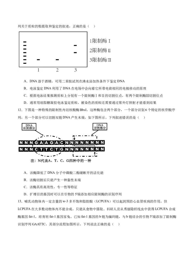 福建省厦门双十中学2024-2025学年高二下学期4月期中考试生物Word版含答案_2024-2025高二（7-7月题库）_2025年6月试卷_0603福建省厦门双十中学2024-2025学年高二下学期4月期中考试