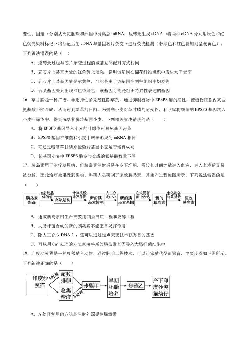 福建省厦门双十中学2024-2025学年高二下学期4月期中考试生物Word版含答案_2024-2025高二（7-7月题库）_2025年6月试卷_0603福建省厦门双十中学2024-2025学年高二下学期4月期中考试