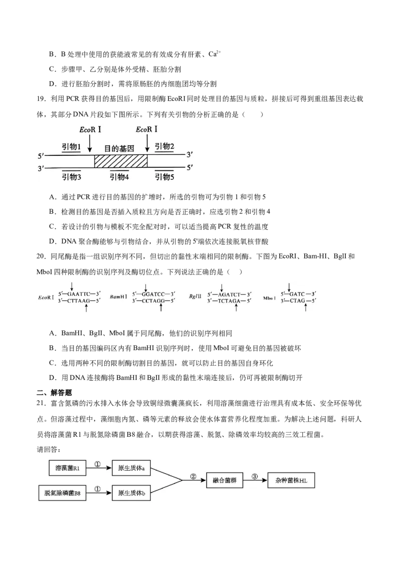 福建省厦门双十中学2024-2025学年高二下学期4月期中考试生物Word版含答案_2024-2025高二（7-7月题库）_2025年6月试卷_0603福建省厦门双十中学2024-2025学年高二下学期4月期中考试