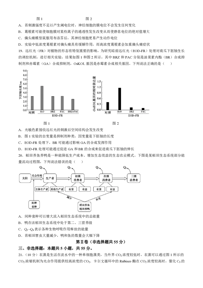 生物-山东省&ldquo;优高联盟&rdquo;2024-2025学年高三2月诊断性检测_2024-2025高三（6-6月题库）_2025年02月试卷_0213山东省&ldquo;优高联盟&rdquo;2024-2025学年高三2月诊断性检测