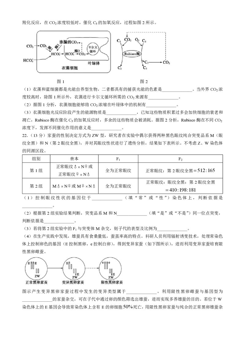 生物-山东省&ldquo;优高联盟&rdquo;2024-2025学年高三2月诊断性检测_2024-2025高三（6-6月题库）_2025年02月试卷_0213山东省&ldquo;优高联盟&rdquo;2024-2025学年高三2月诊断性检测