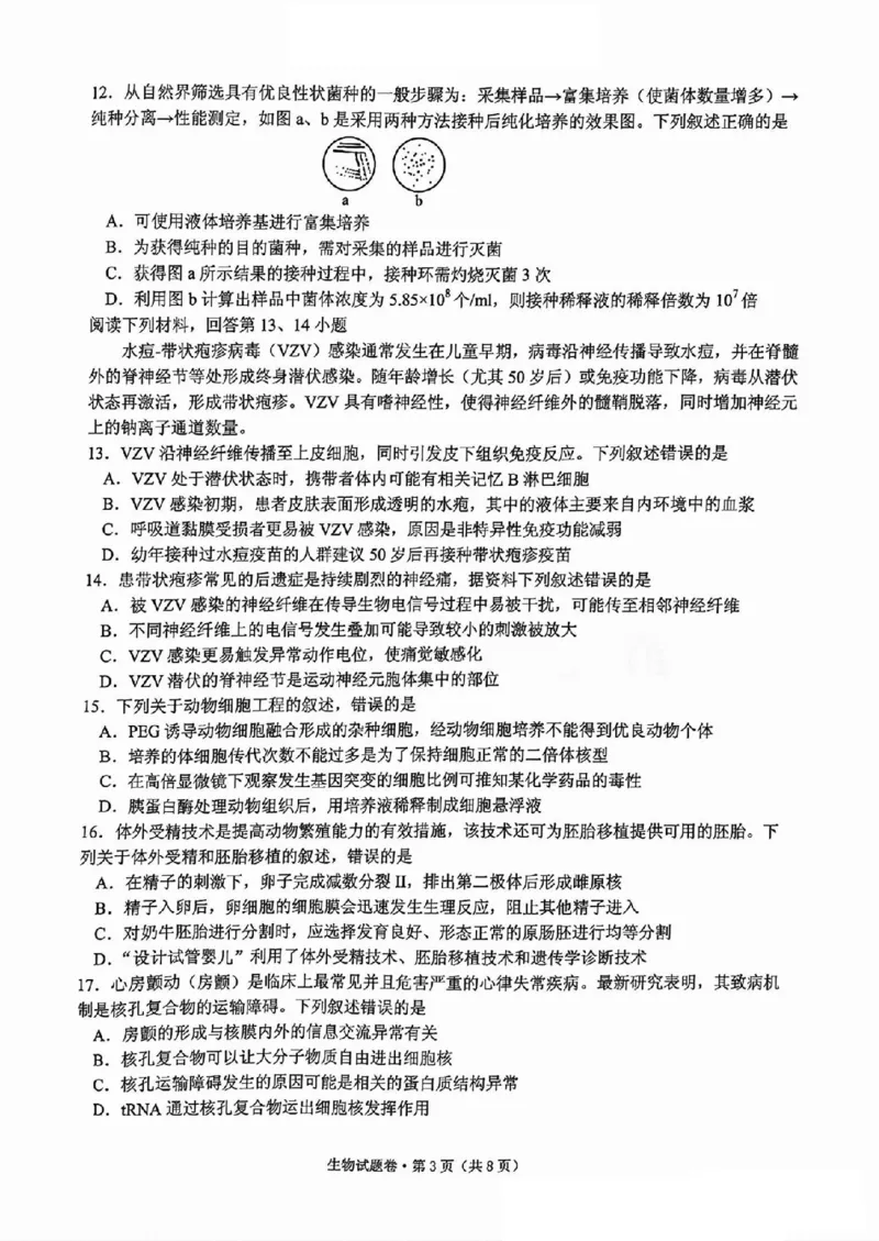 生物试卷_2024-2025高三（6-6月题库）_2024年12月试卷_12252025届浙江省五校联盟高三12月首考模拟（杭二、温中、金一中、绍一中、衢二中）（全科）