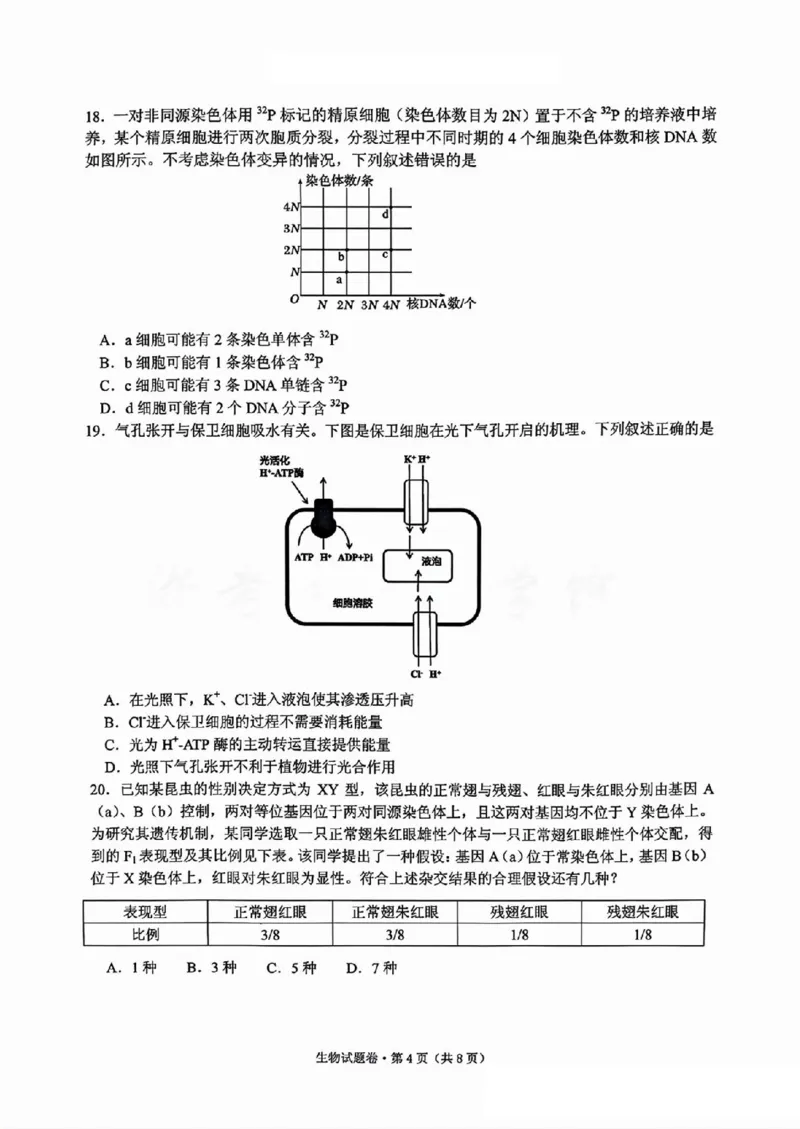 生物试卷_2024-2025高三（6-6月题库）_2024年12月试卷_12252025届浙江省五校联盟高三12月首考模拟（杭二、温中、金一中、绍一中、衢二中）（全科）