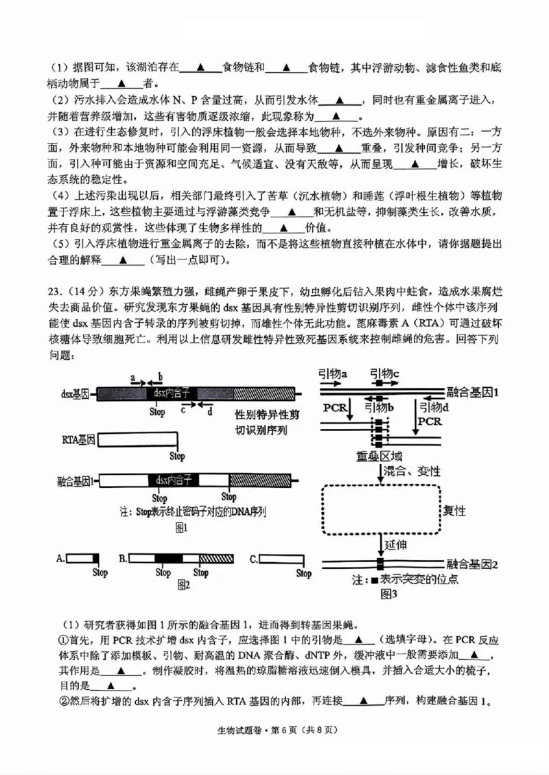 生物试卷_2024-2025高三（6-6月题库）_2024年12月试卷_12252025届浙江省五校联盟高三12月首考模拟（杭二、温中、金一中、绍一中、衢二中）（全科）