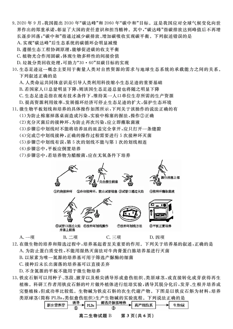 生物试题B&middot;2025年5月高二阶段考_2024-2025高二（7-7月题库）_2025年6月试卷_0609安徽省金榜教育2024-2025学年高二下学期五月份阶段性考试