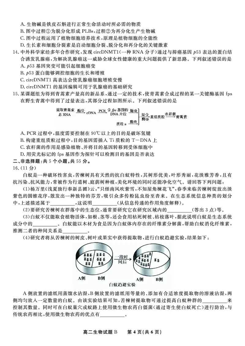 生物试题B&middot;2025年5月高二阶段考_2024-2025高二（7-7月题库）_2025年6月试卷_0609安徽省金榜教育2024-2025学年高二下学期五月份阶段性考试