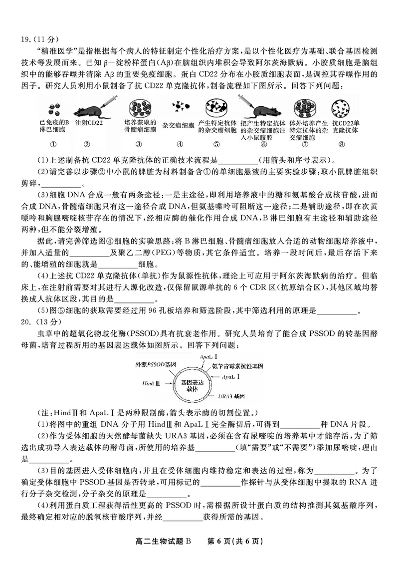 生物试题B&middot;2025年5月高二阶段考_2024-2025高二（7-7月题库）_2025年6月试卷_0609安徽省金榜教育2024-2025学年高二下学期五月份阶段性考试