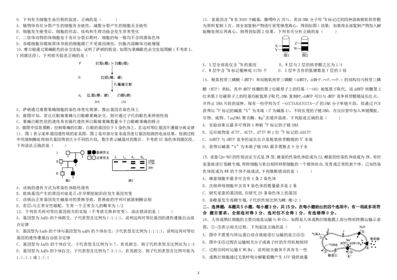 高三10月月考生物试题_2024-2025高三（6-6月题库）_2024年10月试卷_1014黑龙江省哈尔滨师范大学附属中学2024-2025学年高三上学期10月月考