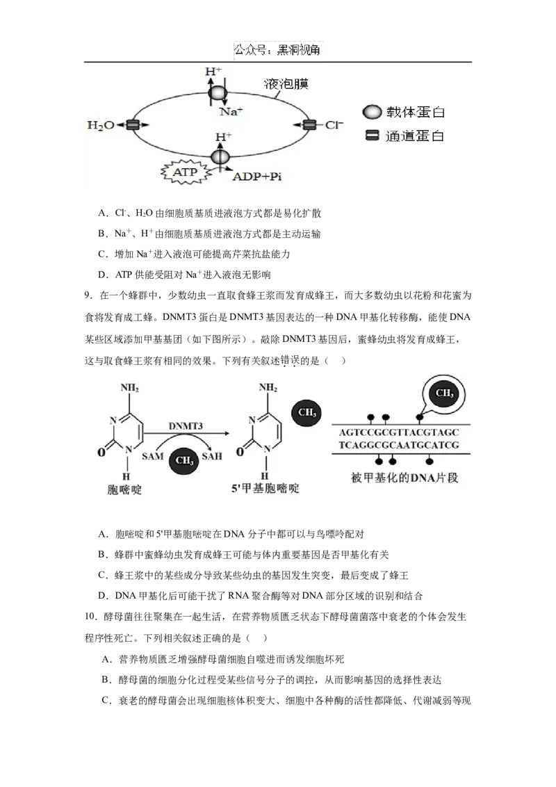 湖南省岳阳市临湘市2024-2025学年高三上学期11月期中生物试题Word版含答案_2024-2025高三（6-6月题库）_2024年11月试卷_1127湖南省岳阳市临湘市2024-2025学年高三上学期11月期中考试