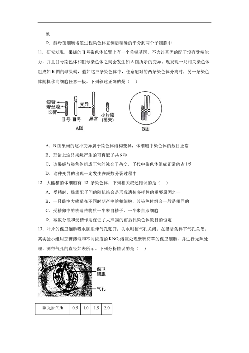 湖南省岳阳市临湘市2024-2025学年高三上学期11月期中生物试题Word版含答案_2024-2025高三（6-6月题库）_2024年11月试卷_1127湖南省岳阳市临湘市2024-2025学年高三上学期11月期中考试