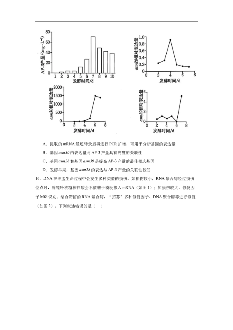 湖南省岳阳市临湘市2024-2025学年高三上学期11月期中生物试题Word版含答案_2024-2025高三（6-6月题库）_2024年11月试卷_1127湖南省岳阳市临湘市2024-2025学年高三上学期11月期中考试