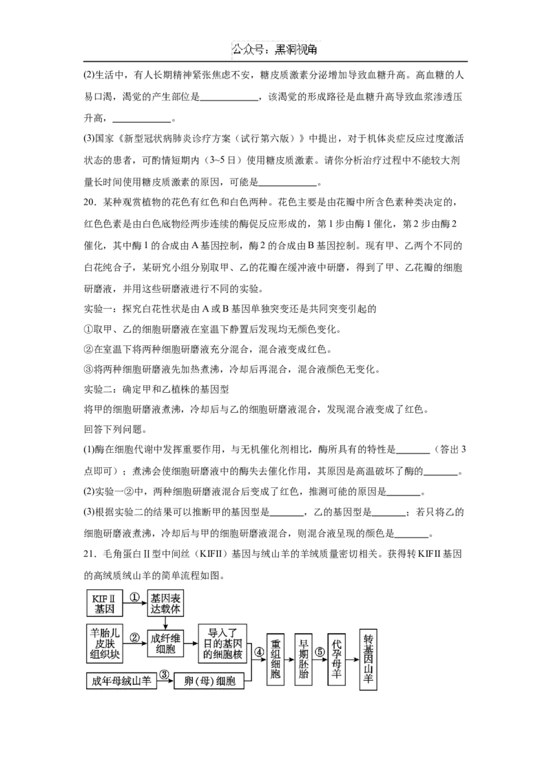 湖南省岳阳市临湘市2024-2025学年高三上学期11月期中生物试题Word版含答案_2024-2025高三（6-6月题库）_2024年11月试卷_1127湖南省岳阳市临湘市2024-2025学年高三上学期11月期中考试
