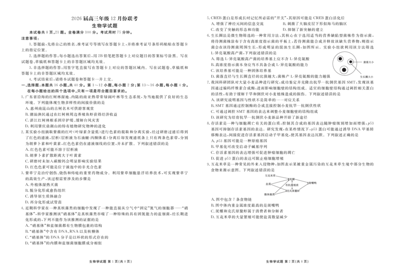 广东省衡水金卷2026届高三上学期12月联考生物_2024-2026高三（6-6月题库）_2025年12月高三试卷_251227广东省衡水金卷2026届高三上学期12月联考（全）