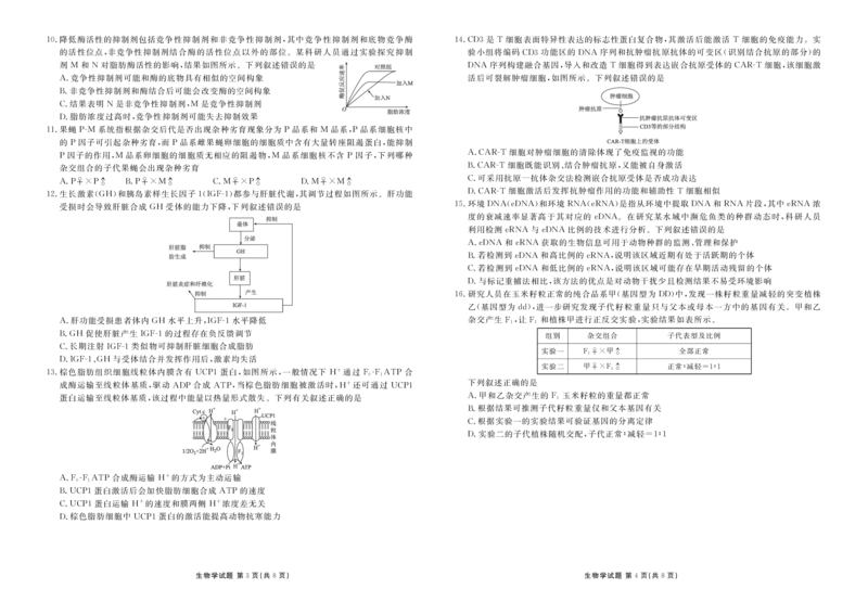 广东省衡水金卷2026届高三上学期12月联考生物_2024-2026高三（6-6月题库）_2025年12月高三试卷_251227广东省衡水金卷2026届高三上学期12月联考（全）
