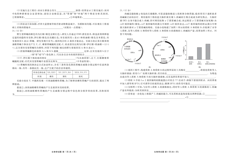 广东省衡水金卷2026届高三上学期12月联考生物_2024-2026高三（6-6月题库）_2025年12月高三试卷_251227广东省衡水金卷2026届高三上学期12月联考（全）