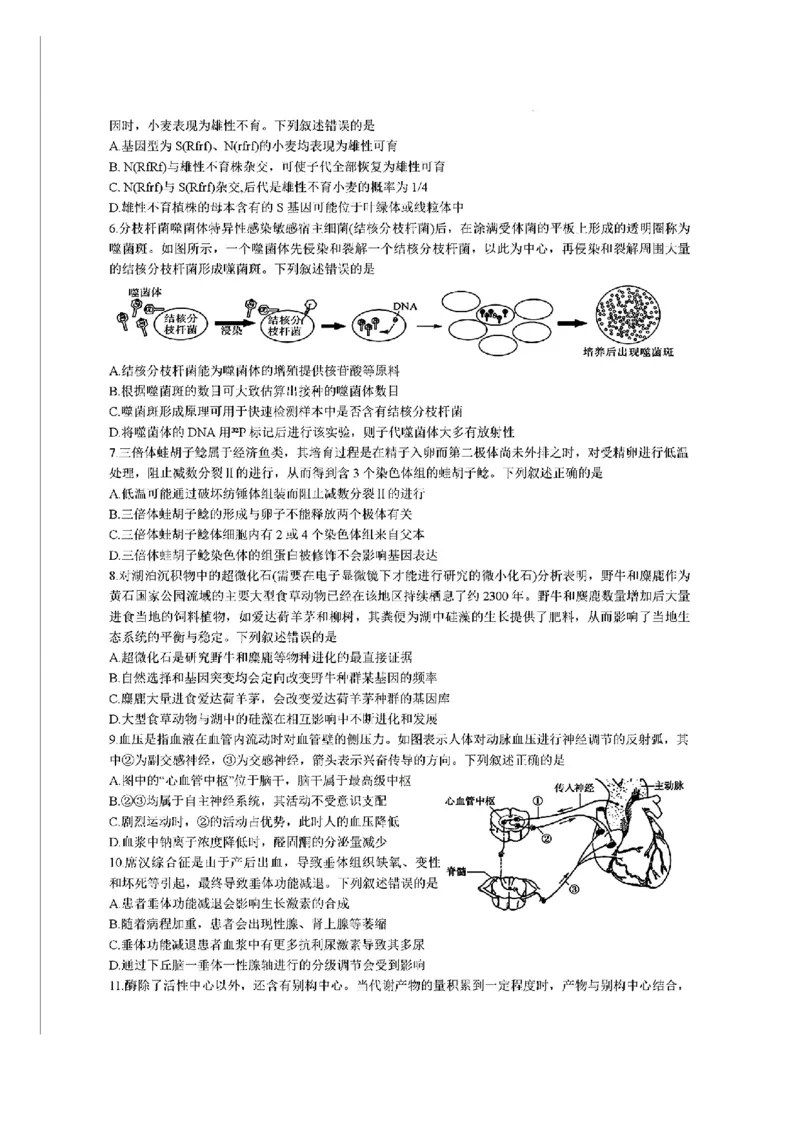 福建省金科大联考2024-2025学年高三12月测评生物_2024-2025高三（6-6月题库）_2024年12月试卷_1223福建省金科大联考2024-2025学年高三12月测评（全科）