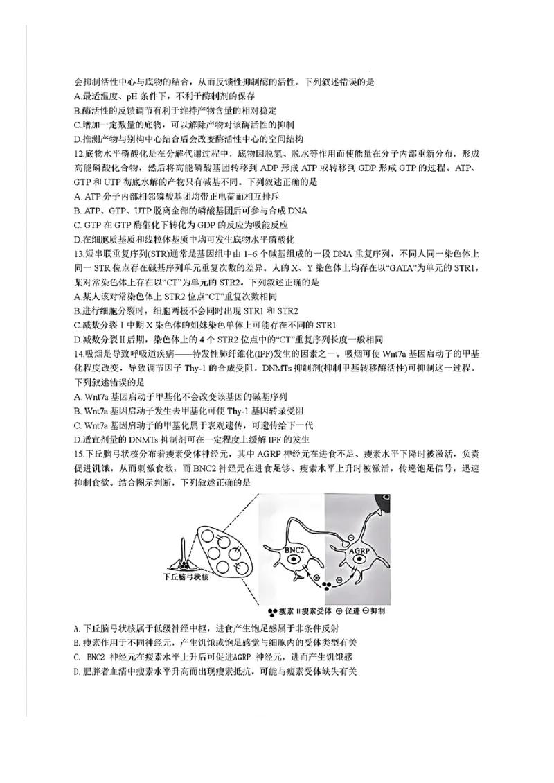 福建省金科大联考2024-2025学年高三12月测评生物_2024-2025高三（6-6月题库）_2024年12月试卷_1223福建省金科大联考2024-2025学年高三12月测评（全科）