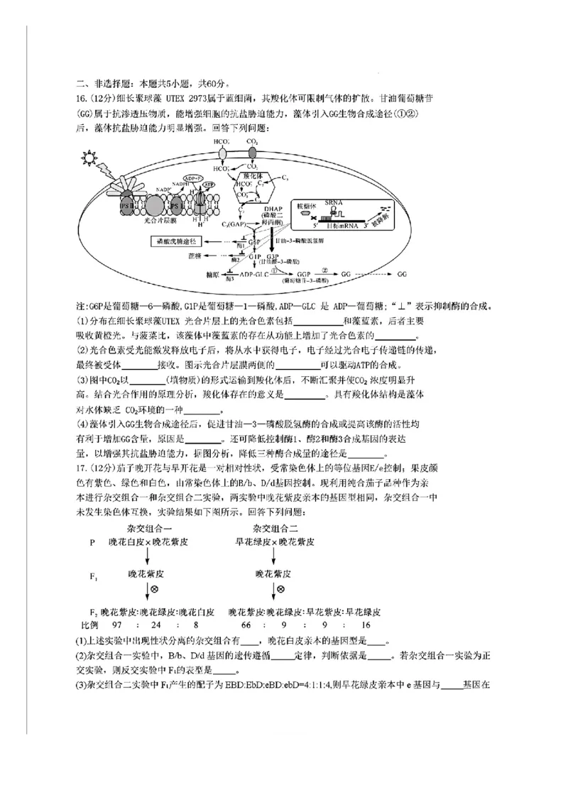 福建省金科大联考2024-2025学年高三12月测评生物_2024-2025高三（6-6月题库）_2024年12月试卷_1223福建省金科大联考2024-2025学年高三12月测评（全科）