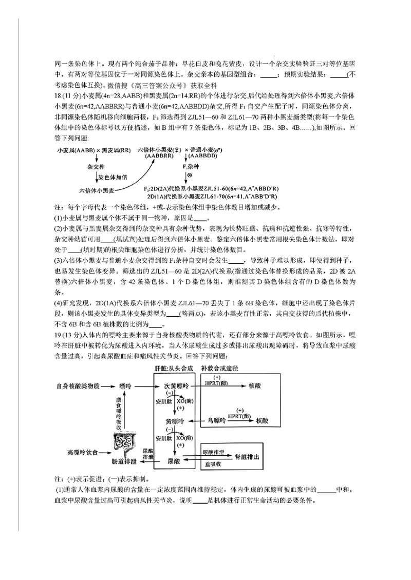 福建省金科大联考2024-2025学年高三12月测评生物_2024-2025高三（6-6月题库）_2024年12月试卷_1223福建省金科大联考2024-2025学年高三12月测评（全科）