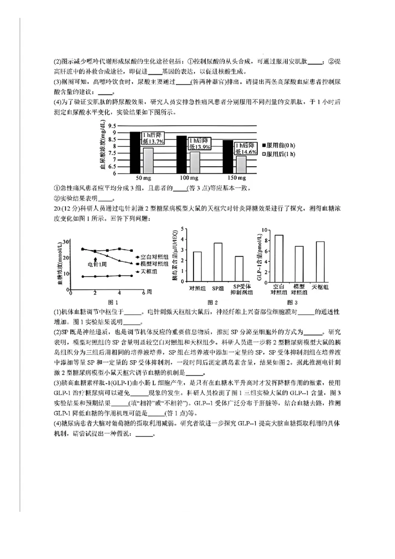 福建省金科大联考2024-2025学年高三12月测评生物_2024-2025高三（6-6月题库）_2024年12月试卷_1223福建省金科大联考2024-2025学年高三12月测评（全科）