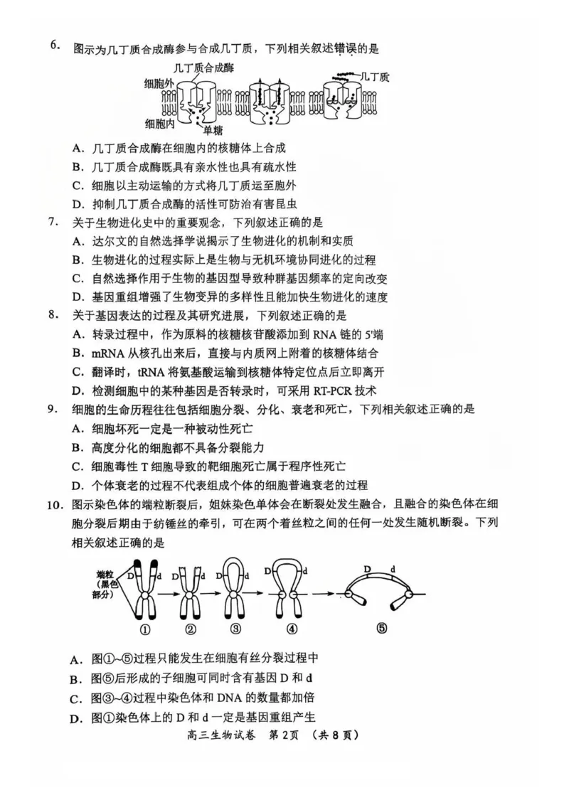 生物试题_2024-2025高三（6-6月题库）_2024年11月试卷_1109江苏省常州市2024-2025学年高三上学期期中考试_江苏省常州市2024-2025学年高三上学期期中考试生物