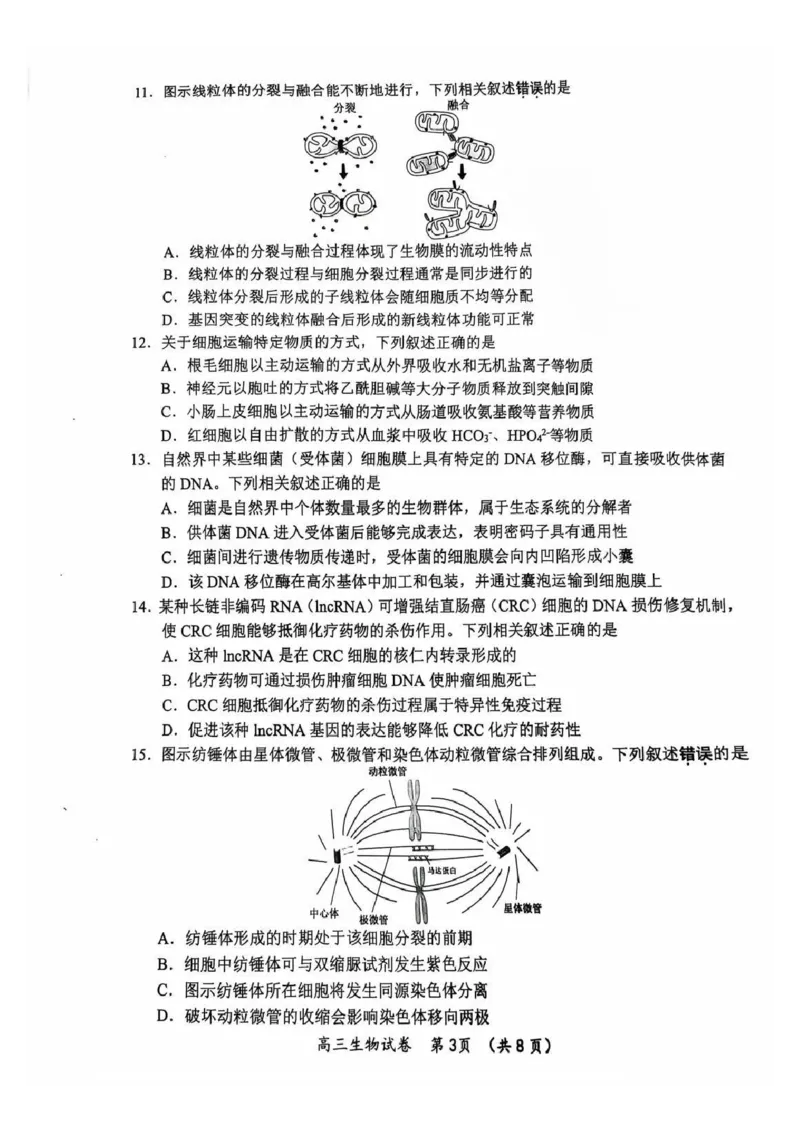 生物试题_2024-2025高三（6-6月题库）_2024年11月试卷_1109江苏省常州市2024-2025学年高三上学期期中考试_江苏省常州市2024-2025学年高三上学期期中考试生物