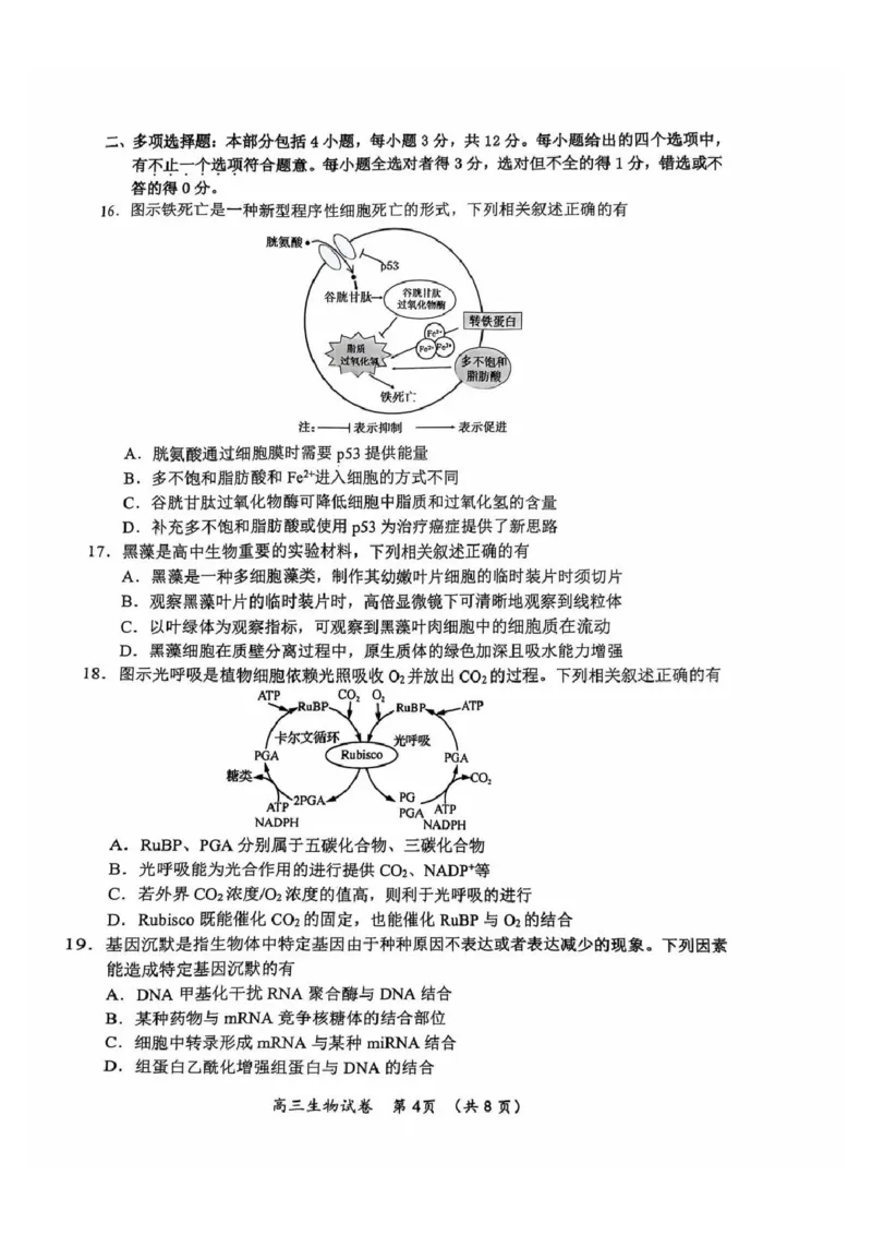 生物试题_2024-2025高三（6-6月题库）_2024年11月试卷_1109江苏省常州市2024-2025学年高三上学期期中考试_江苏省常州市2024-2025学年高三上学期期中考试生物