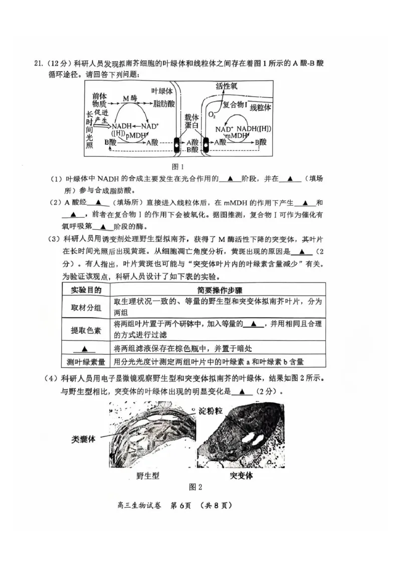 生物试题_2024-2025高三（6-6月题库）_2024年11月试卷_1109江苏省常州市2024-2025学年高三上学期期中考试_江苏省常州市2024-2025学年高三上学期期中考试生物