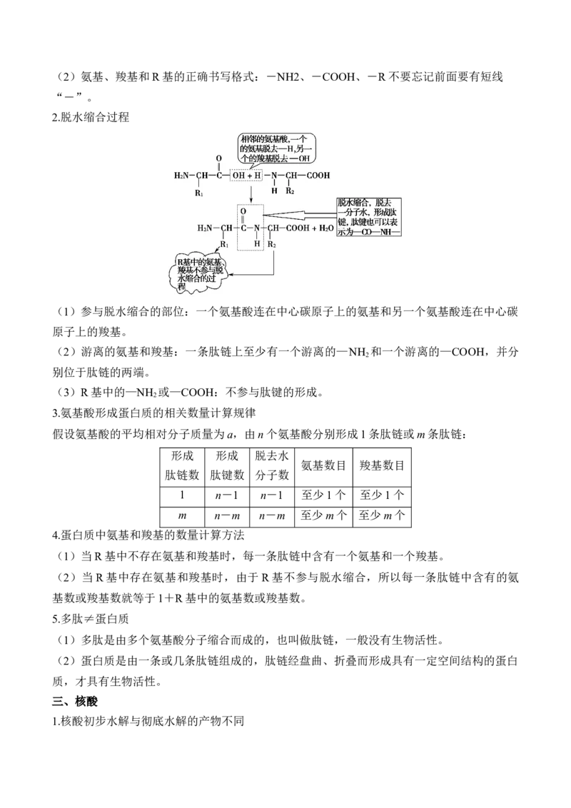 （1）细胞的分子组成&mdash;&mdash;高考生物二轮复习易错重难提升（含解析）_2024-2025高三（6-6月题库）_2026年1月高三_260104高考生物二轮复习易错重难提升（含解析）
