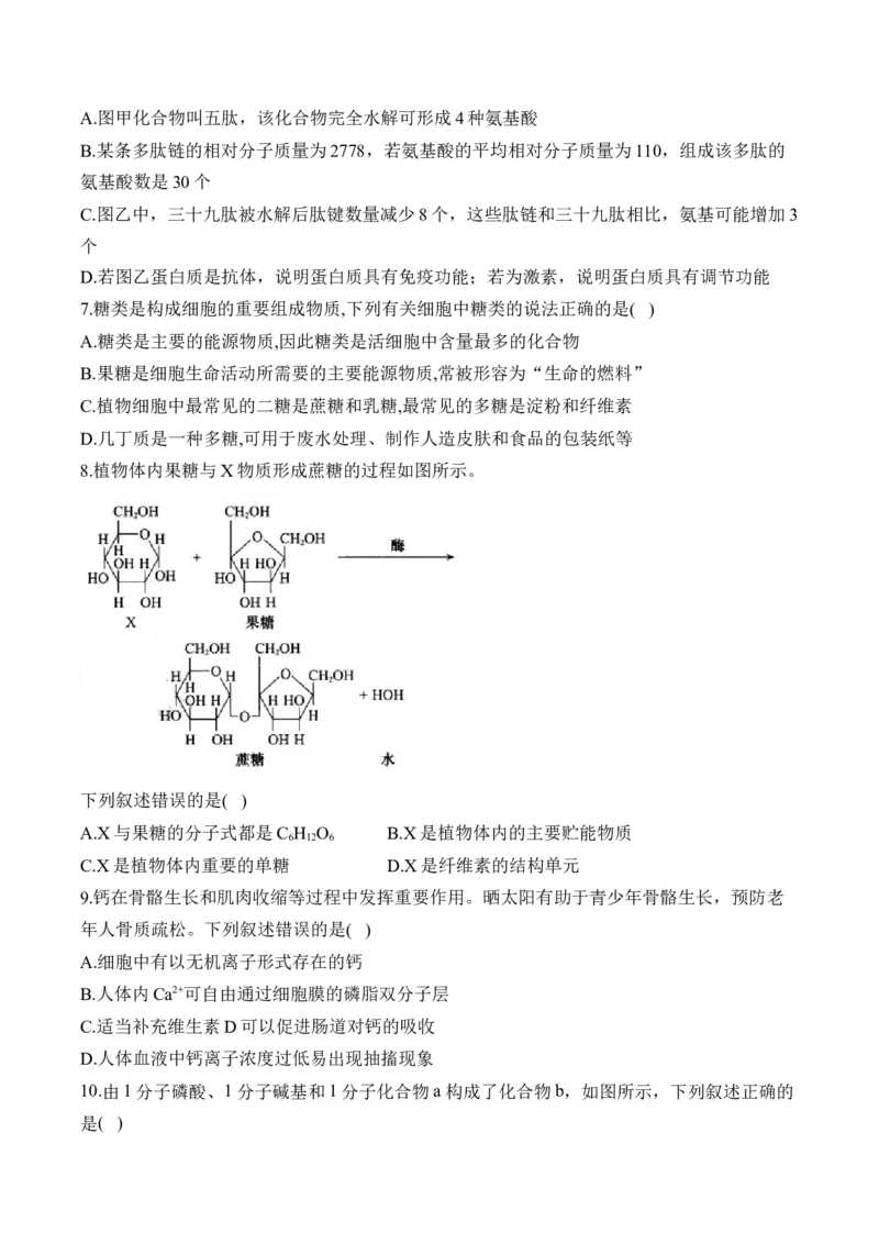 （1）细胞的分子组成&mdash;&mdash;高考生物二轮复习易错重难提升（含解析）_2024-2025高三（6-6月题库）_2026年1月高三_260104高考生物二轮复习易错重难提升（含解析）