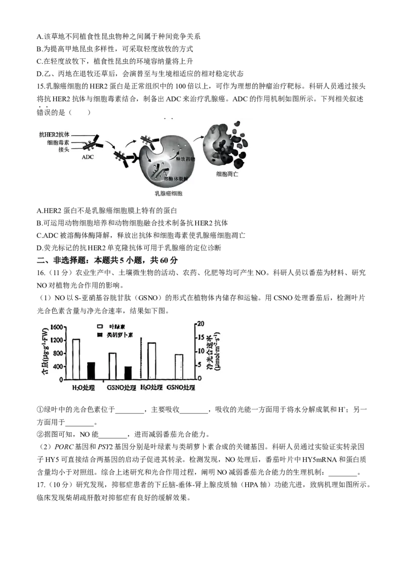 福建省漳州市2025届高中毕业版第一次质量检测（漳州一检）生物试题（含答案）_2024-2025高三（6-6月题库）_2024年09月试卷_0916福建省漳州市2025届高中毕业版第一次质量检测（漳州一检）