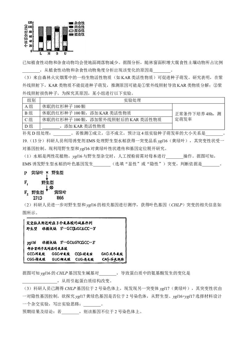 福建省漳州市2025届高中毕业版第一次质量检测（漳州一检）生物试题（含答案）_2024-2025高三（6-6月题库）_2024年09月试卷_0916福建省漳州市2025届高中毕业版第一次质量检测（漳州一检）