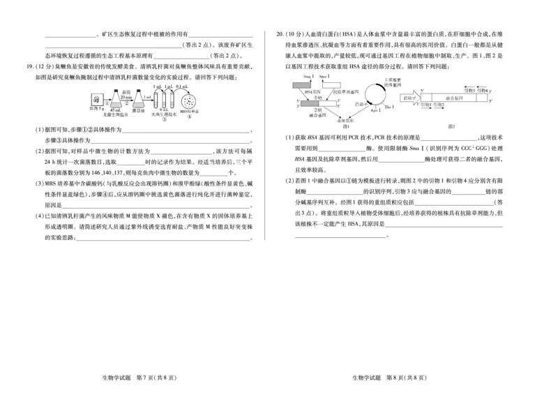 生物学安徽高二下5月检测单色_2024-2025高二（7-7月题库）_2025年6月试卷_0606安徽省天一大联考2024-2025学年高二下学期5月阶段性检测