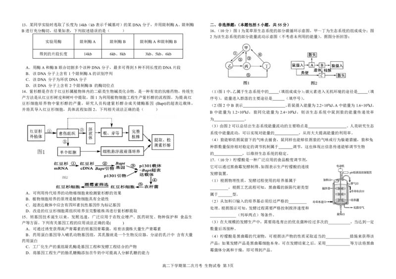 生物试卷第二次月考试题_2024-2025高二（7-7月题库）_2025年6月试卷_0609四川省达州市万源中学2024-2025学年高二下学期6月月考试题