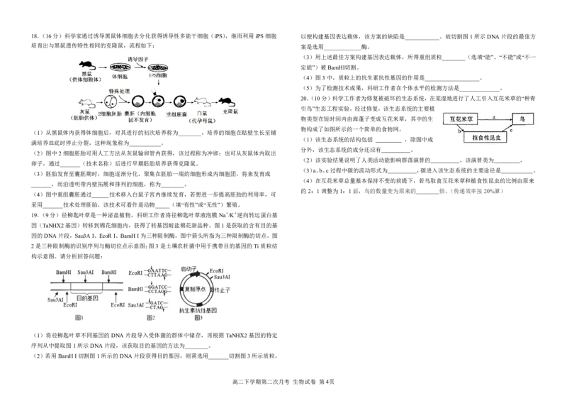 生物试卷第二次月考试题_2024-2025高二（7-7月题库）_2025年6月试卷_0609四川省达州市万源中学2024-2025学年高二下学期6月月考试题