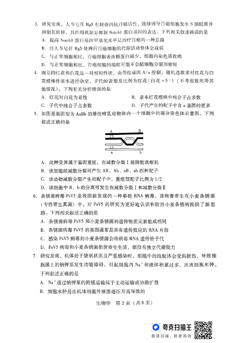 生物学试卷_2024-2025高三（6-6月题库）_2024年09月试卷_0902广东省2024-2025学年高三上学期毕业班第一次调研考试_广东省2024-2025学年高三上学期毕业班第一次调研考试生物