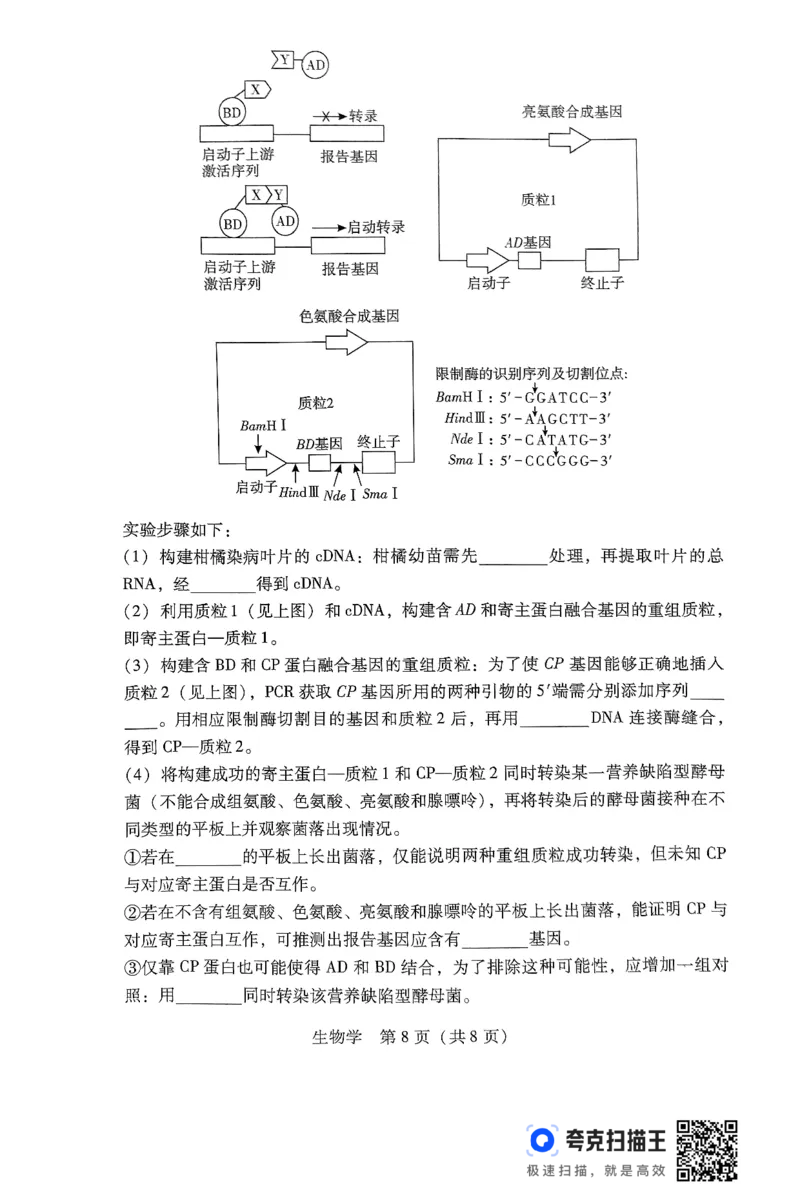 生物学试卷_2024-2025高三（6-6月题库）_2024年09月试卷_0902广东省2024-2025学年高三上学期毕业班第一次调研考试_广东省2024-2025学年高三上学期毕业班第一次调研考试生物