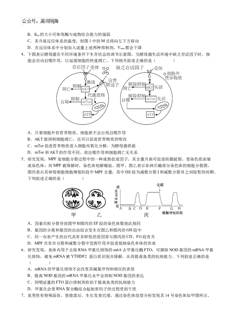 生物考前猜想卷01（考试版A4）_2024-2025高三（6-6月题库）_2024年12月试卷_12072025届&ldquo;八省联考&rdquo;考前猜想卷_生物（15+5）-2025年1月&ldquo;八省联考&rdquo;考前猜想卷