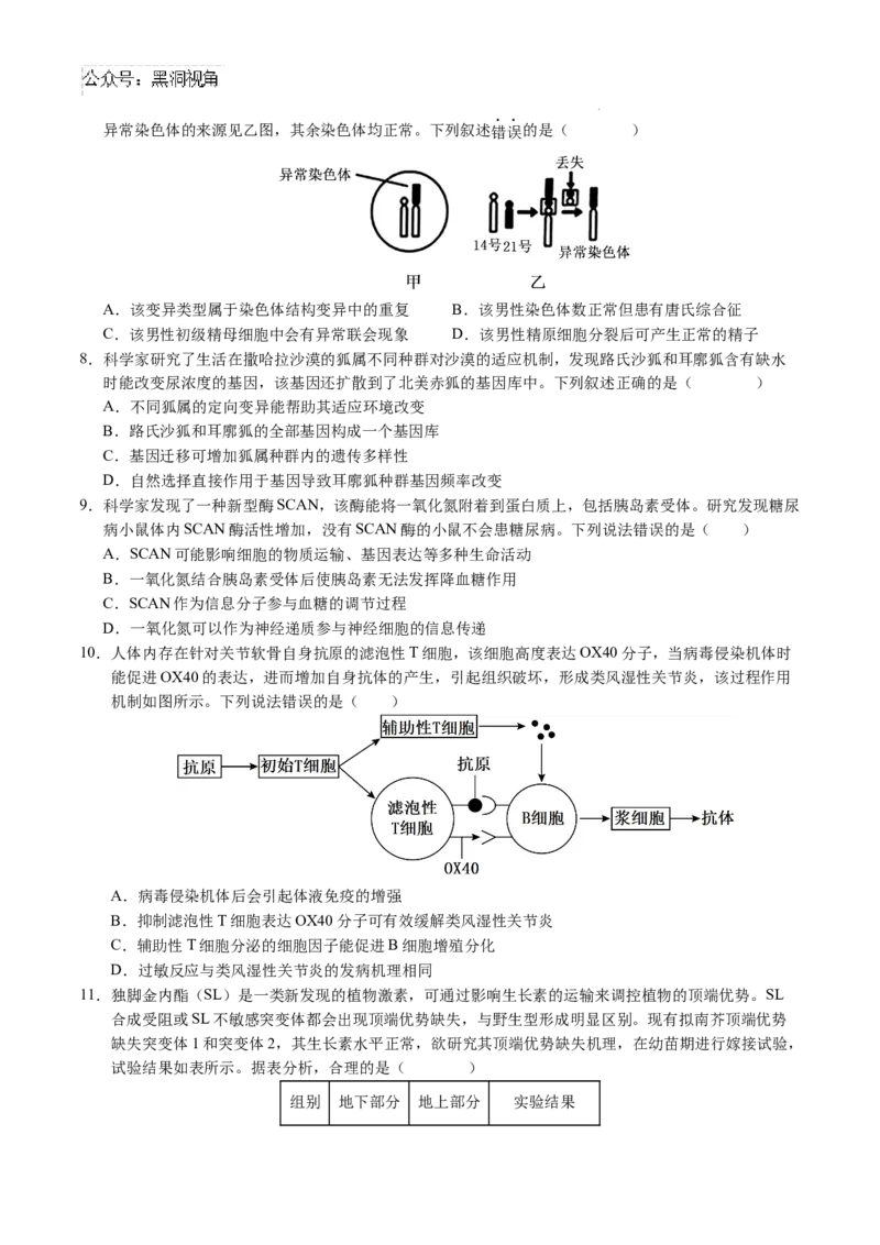 生物考前猜想卷01（考试版A4）_2024-2025高三（6-6月题库）_2024年12月试卷_12072025届&ldquo;八省联考&rdquo;考前猜想卷_生物（15+5）-2025年1月&ldquo;八省联考&rdquo;考前猜想卷