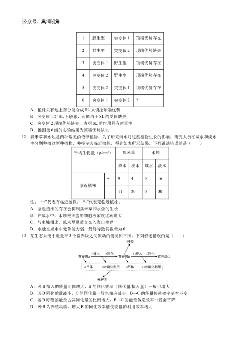 生物考前猜想卷01（考试版A4）_2024-2025高三（6-6月题库）_2024年12月试卷_12072025届&ldquo;八省联考&rdquo;考前猜想卷_生物（15+5）-2025年1月&ldquo;八省联考&rdquo;考前猜想卷