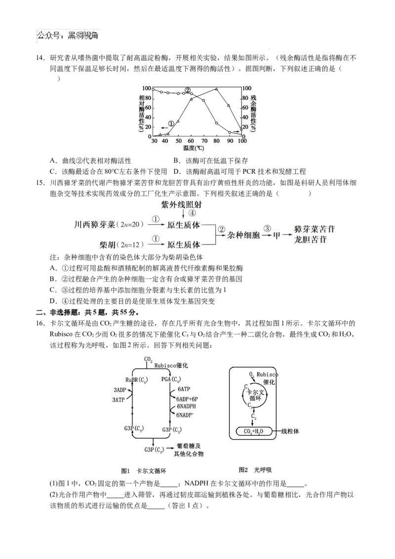 生物考前猜想卷01（考试版A4）_2024-2025高三（6-6月题库）_2024年12月试卷_12072025届&ldquo;八省联考&rdquo;考前猜想卷_生物（15+5）-2025年1月&ldquo;八省联考&rdquo;考前猜想卷