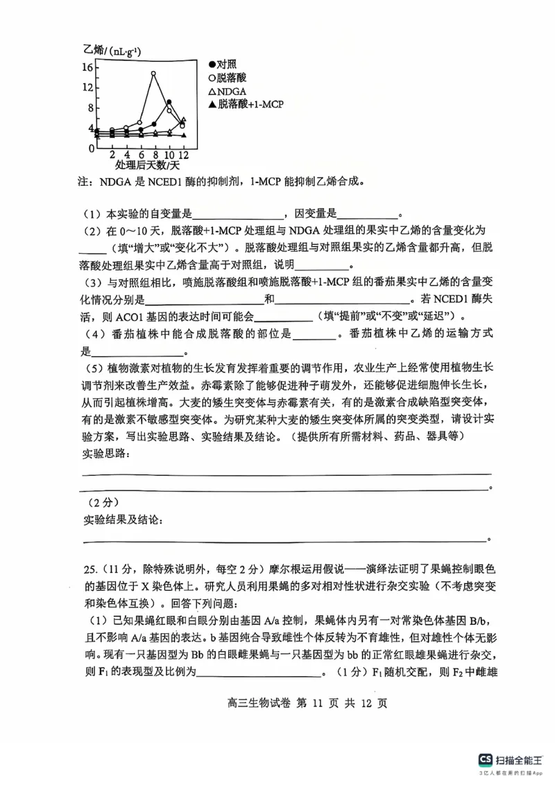 辽宁省大连市滨城高中联盟2024-2025学年高三上学期期中Ⅱ考试生物试卷_2024-2025高三（6-6月题库）_2024年12月试卷_1206辽宁省大连市滨城高中联盟2024-2025学年高三上学期期中Ⅱ