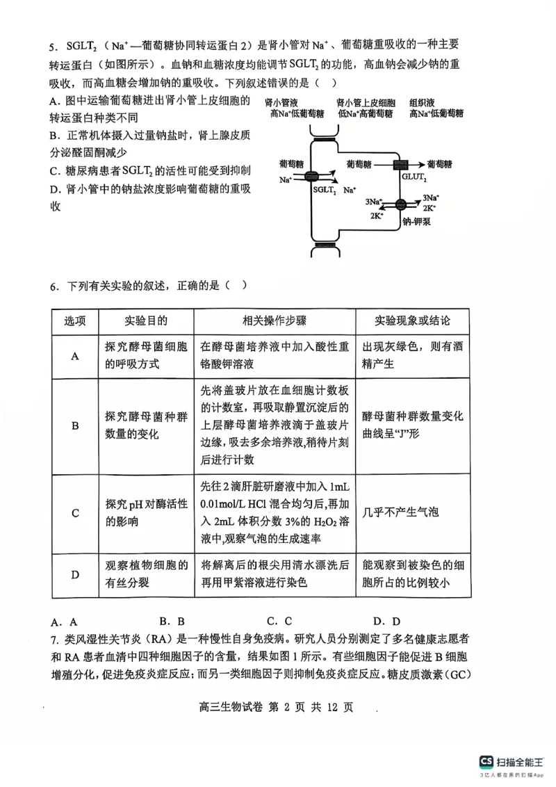 辽宁省大连市滨城高中联盟2024-2025学年高三上学期期中Ⅱ考试生物试卷_2024-2025高三（6-6月题库）_2024年12月试卷_1206辽宁省大连市滨城高中联盟2024-2025学年高三上学期期中Ⅱ