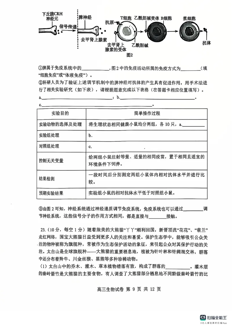 辽宁省大连市滨城高中联盟2024-2025学年高三上学期期中Ⅱ考试生物试卷_2024-2025高三（6-6月题库）_2024年12月试卷_1206辽宁省大连市滨城高中联盟2024-2025学年高三上学期期中Ⅱ