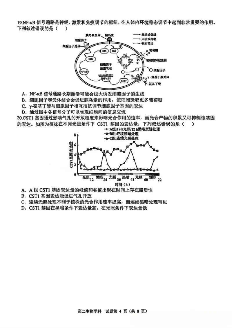 精诚联盟高二年级生物学科试题_2024-2025高二（7-7月题库）_2025年03月试卷_0316浙江省精诚联盟2024-2025学年高二下学期3月联考