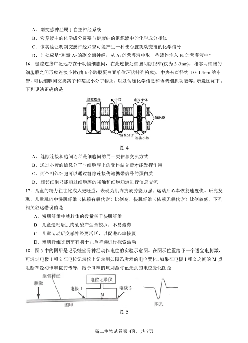 高二生物阶段考试题终稿_2025年10月高二试卷_251017广东省汕头市金山中学2025-2026学年高二上学期10月阶段考试（全）