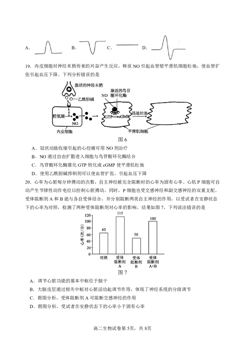 高二生物阶段考试题终稿_2025年10月高二试卷_251017广东省汕头市金山中学2025-2026学年高二上学期10月阶段考试（全）