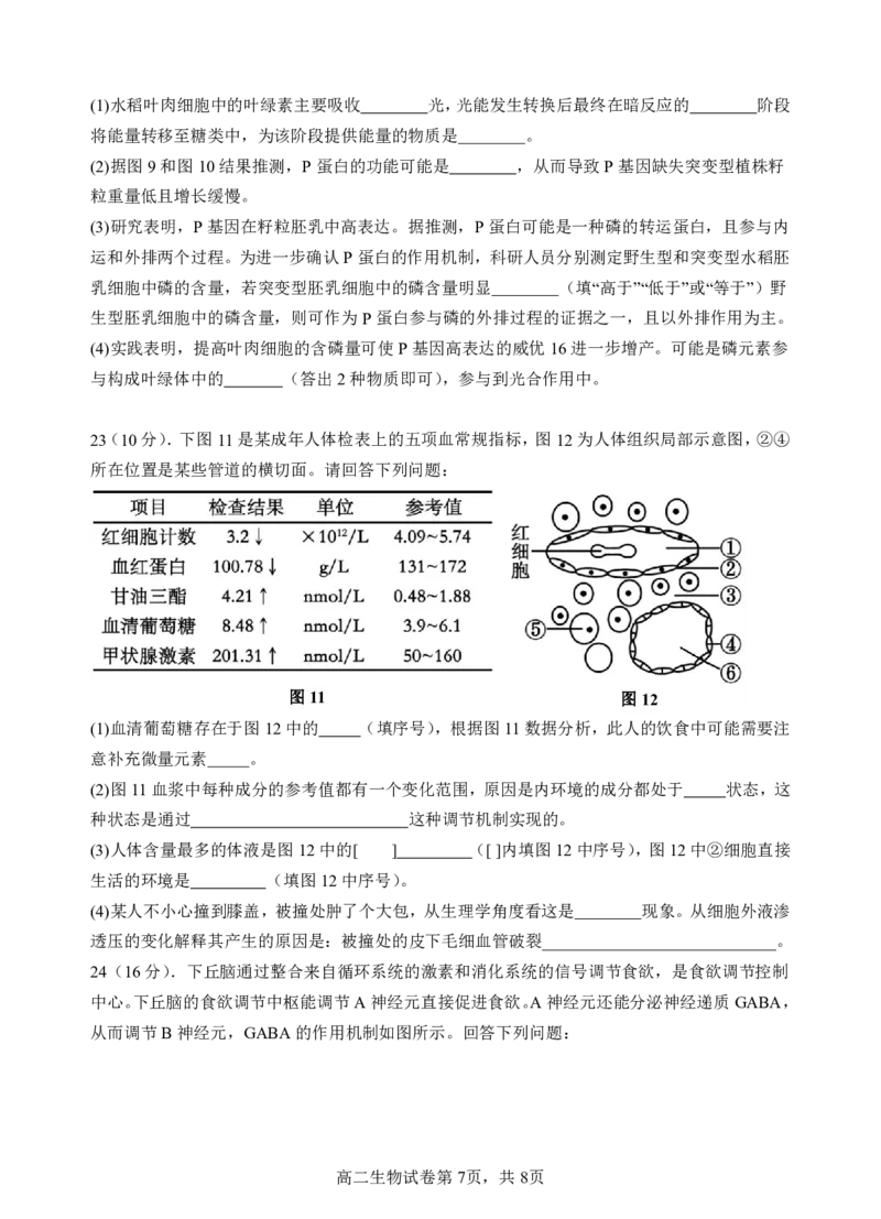 高二生物阶段考试题终稿_2025年10月高二试卷_251017广东省汕头市金山中学2025-2026学年高二上学期10月阶段考试（全）
